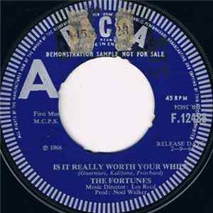 The Fortunes - Is It Really Worth Your While FLAC