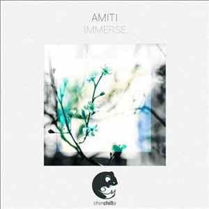 Amiti - Immerse FLAC