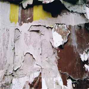 Yannick Franck & Olivier Pé - Improvisation, March 2006 FLAC