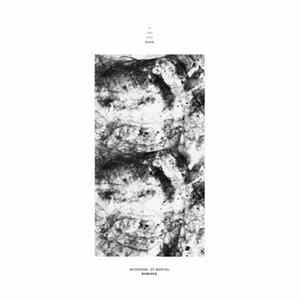 YYYY - Intention Of Mortal Re-Mixed FLAC