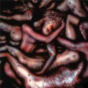 No Empathy - Nothing Less Than Nothing At All FLAC