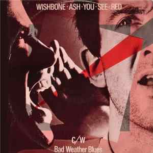 Wishbone Ash - You See Red FLAC