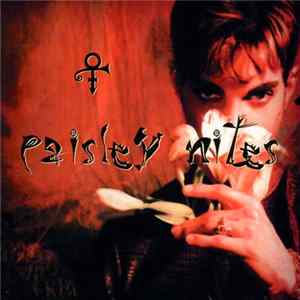 The Artist (Formerly Known As Prince) - Paisley Nites FLAC