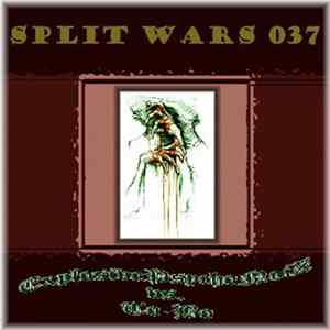 ExplosivePsychoNoiZ vs. To-Bo - Split Wars 037 FLAC
