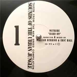 Various - Sounds Of The Urban Jungle FLAC