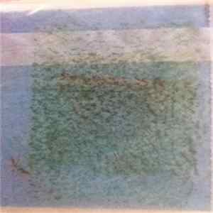 Fi-Aged #9 - Live Fi 1 FLAC