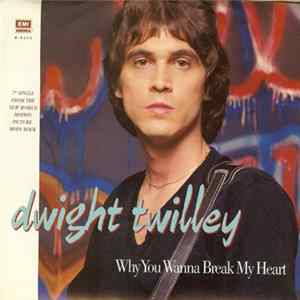 Dwight Twilley - Why You Wanna Break My Heart FLAC