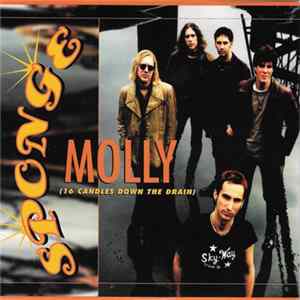 Sponge - Molly (16 Candles Down The Drain) FLAC
