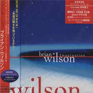 Brian Wilson - Imagination FLAC