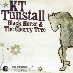 KT Tunstall - Black Horse & The Cherry Tree FLAC