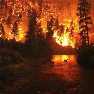 Final Light - Lights Out FLAC