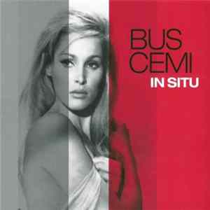 Buscemi - In Situ FLAC