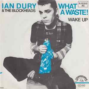 Ian Dury & The Blockheads - What A Waste! FLAC