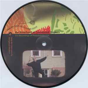 The Sisterhood Of Convoluted Thinkers - Help Me Catch This Fly FLAC