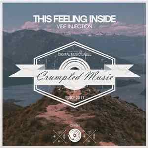 Vibe Injection - This Feeling Inside FLAC