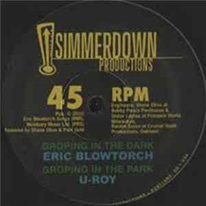 Eric Blowtorch / U-Roy / Prince Jazzbo / Pumpkin World All Stars - Groping In The Dark FLAC