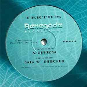 Tertius - Vibes / Sky High FLAC