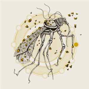 Akaname / Lesbian's Fungal Abyss - Rain Will Be The New Gold / Humongous Fungus FLAC