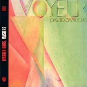 David Sanborn - Voyeur FLAC
