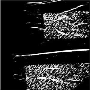 Marble Verse - Of Winds FLAC