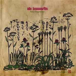 Nic Bommarito - Harp Fragments FLAC
