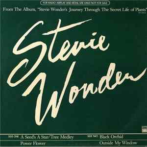 Stevie Wonder - A Seed's A Star / Tree Medley FLAC