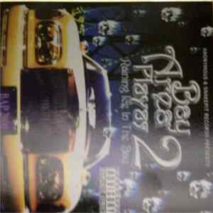 Various - Bay Area Playas 2 - Raining Ice In The Bay FLAC