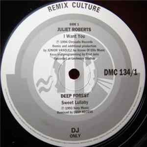 Various - Remix Culture 134 FLAC