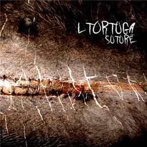L Tortuga - Suture FLAC