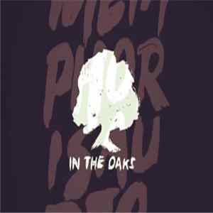 Metaphor Is Audio - In the oaks FLAC