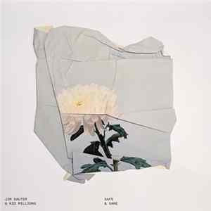 Jim Sauter & Kid Millions - Safe & Sane FLAC