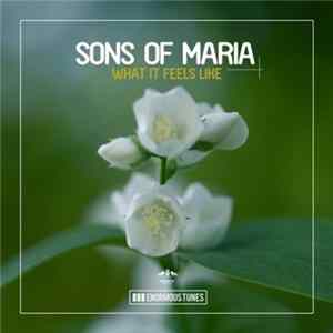 Sons Of Maria - What It Feels Like FLAC