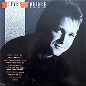 Steve Wariner - Greatest Hits FLAC