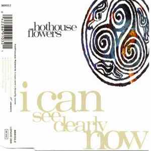 Hothouse Flowers - I Can See Clearly Now FLAC