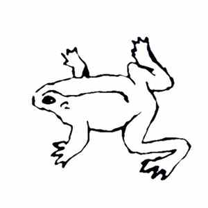 Grundik+Slava - Frogs FLAC