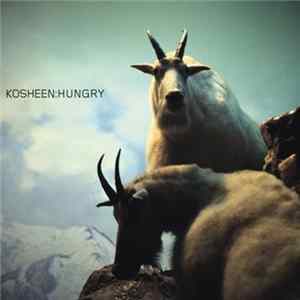 Kosheen - Hungry (Jan Driver Remix) FLAC