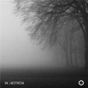 Various - Aesthesia FLAC