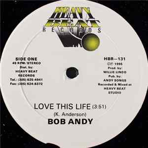 Bob Andy - Love This Life FLAC
