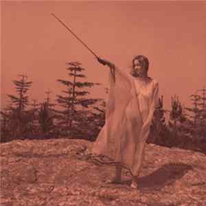 Unknown Mortal Orchestra - II FLAC
