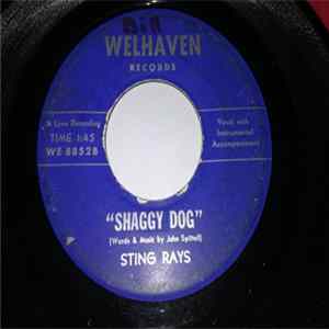 Sting Rays - The Cat / Shaggy Dog FLAC