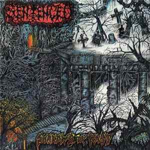 Sentenced - Shadows Of Past FLAC