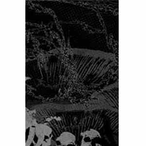 Of Fallen Crosses - Hallucinogenic State Of Death FLAC