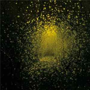 The Antlers - Burst Apart FLAC