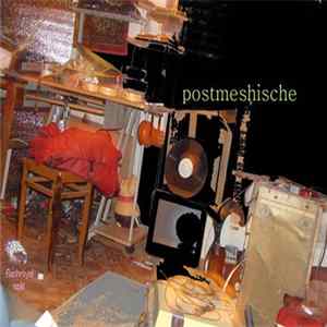 postmeshische - The End Of Electricity (Flashroyal Split) FLAC