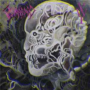 VWT / CosmoLoco - Split FLAC