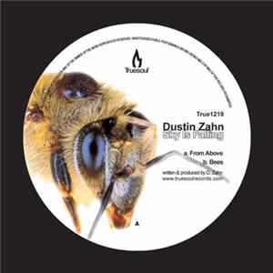 Dustin Zahn - Sky Is Falling FLAC