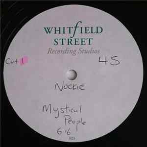 Nookie Featuring Larry Heard - Mystical People FLAC
