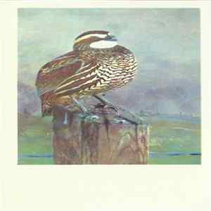 No Artist - Bobwhite FLAC