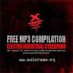 Various - Audiotrauma Compilation FLAC