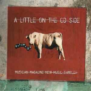 Various - Musician Magazine's A Little On The CD Side Volume 21 FLAC